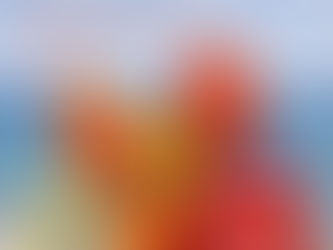 STOŁECZNE WOPR ORGANIZUJE