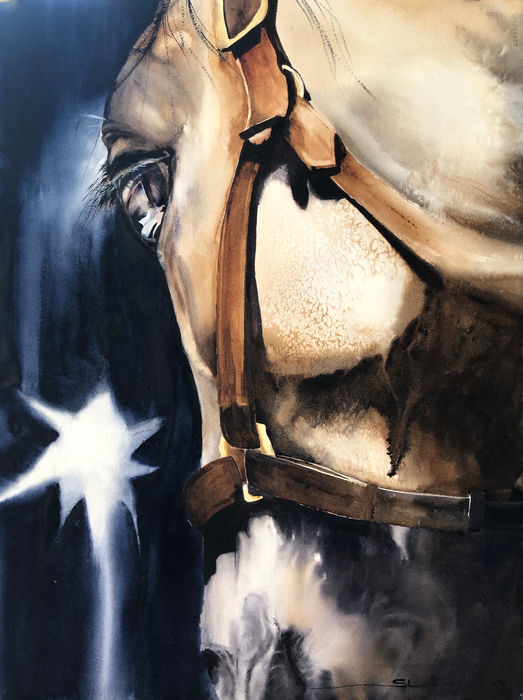 Lighthorse horse Anzac