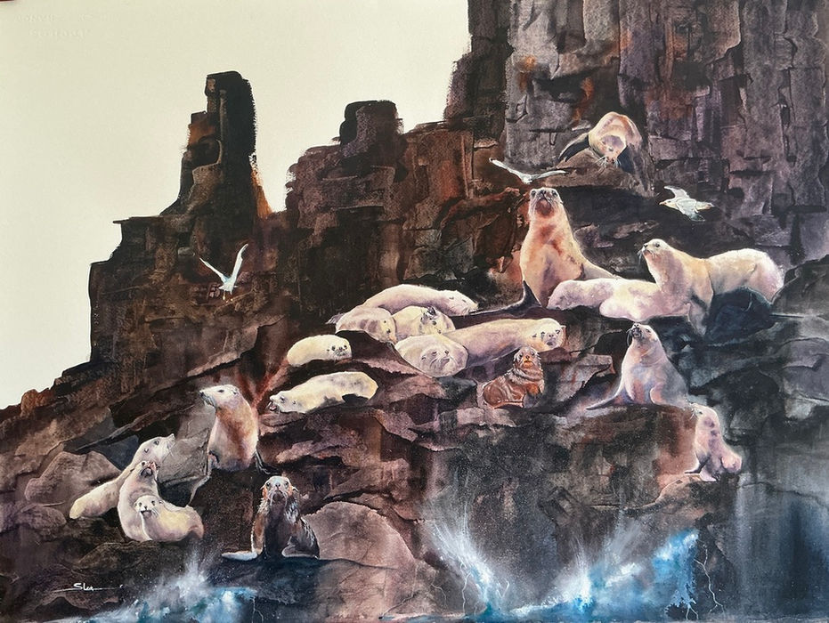 fur seals, seals, Tasmania, rocks, seagulls, southern ocean, marine painting, marine watercolour, seal painting, rockery, seal colony