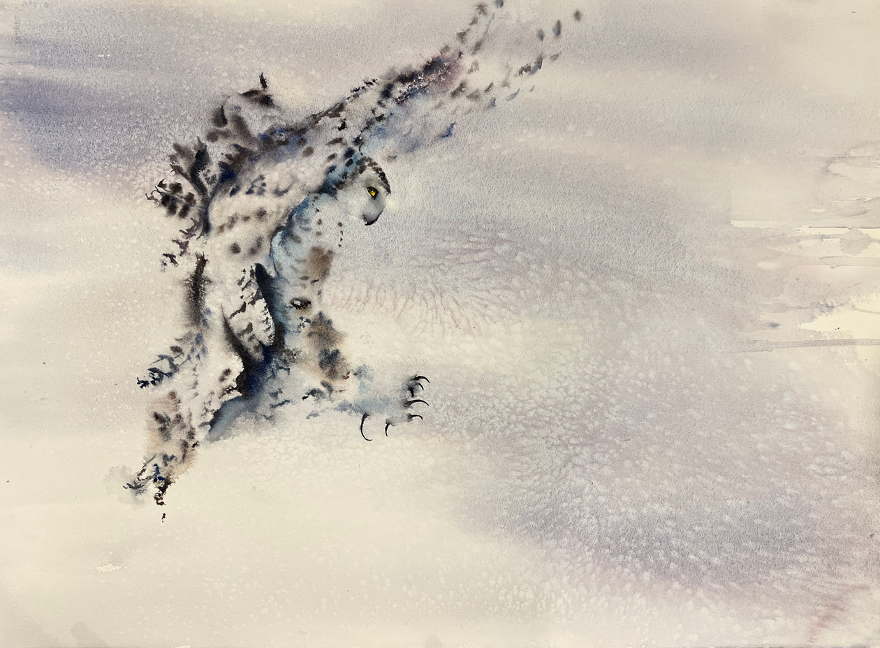 Snowy Owl opposite to Blizzard.