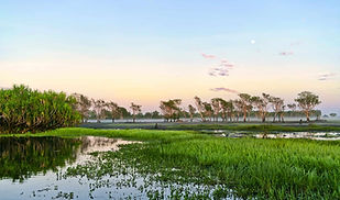 Yellow-water-billabong-2048x1208.jpg