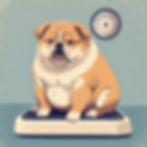 Bulldog sitting on a scale, smiling. Background is light blue, with a large round clock-like dial. The mood is playful and relaxed.