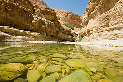 Canyon Lake