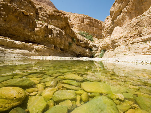 Canyon Lake