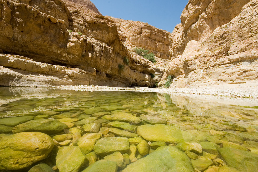 Canyon Lake