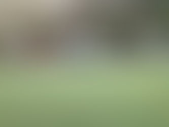 NAUFRAGIO PREANNUNCIATO A CASALE