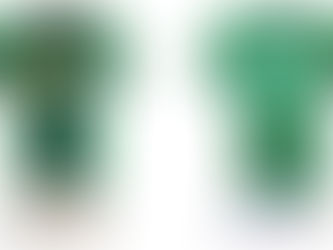 PRONTI PER L'ENNESIMA STAGIONE