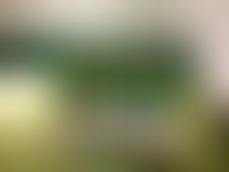 RIMONTA EPOCALE: IL BERLUSCONI VA AL PSP!