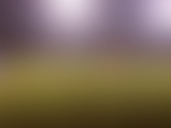 PORT, CHE DISFATTA A VILLA FONTANA!