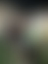 SETTIMANA DI FUOCO ALLE PORTE