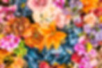 Flower background - vintage effect style pictures.jpg