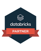 databricks_partner.png
