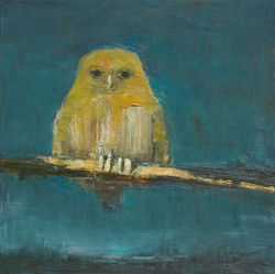 Orange Owl