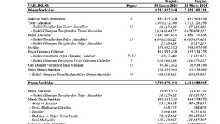 Fenerbahçe’nin Finansal Gerçeği Acil Finansal Dönüşüm Gerektiriyor-Mali Sürdürülebilirlik Tehlikede!