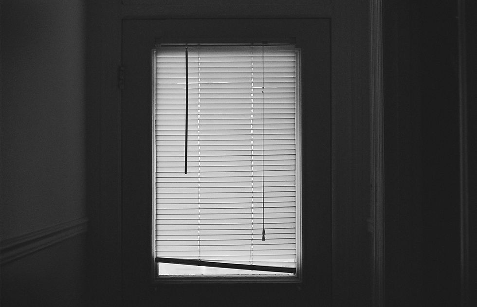 Window With Blinds
