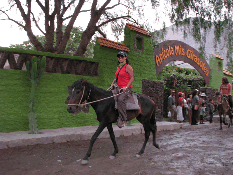 PC056Caballos3.gif