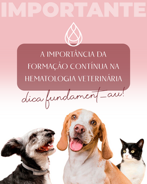 Formação contínua na hematologia veterinária
