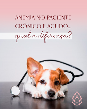 Anemia no paciente crônico e agudo