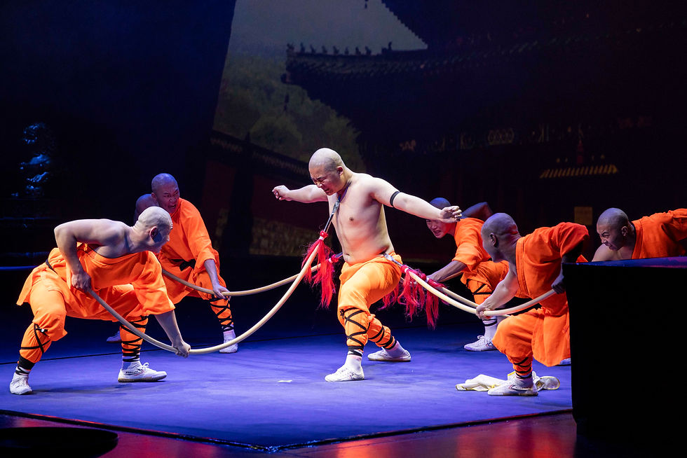 The Monks of Shaolin Kung Fu - ANTWERP, BE