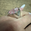 Miniatura: Anel quartzo rosa trilhon 