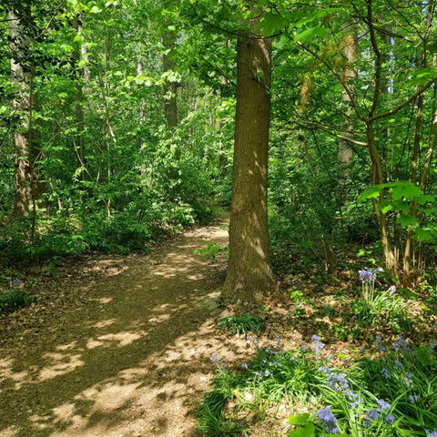 Bomert Beheer B.V. Natuur & Bos & Projecten Milsbeek
