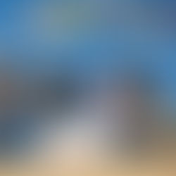 Junior Director Achieves Champion Honors and Competes in Premier Exhibitor at NWSS