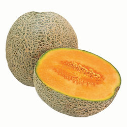 Cantaloupe