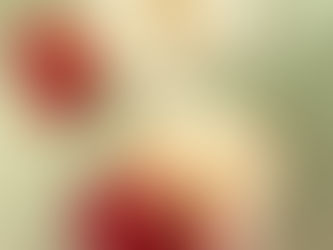 フローラルハーバリウムを纏う楽しみ