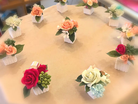 ✨マーヴェラス誕生しました