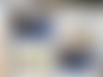 今日はカイロプラクティックの日です