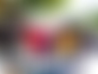 Un paseo en el Turibus