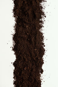 top-view-natural-soil_edited.jpg