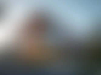 Explore Essential Real Estate Solutions in Australia