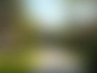 Property Appraisal Services