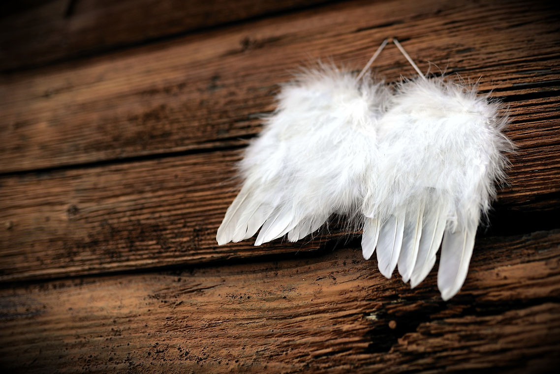 feather-4661244_1920.jpg