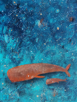 Velryby na noční obloze