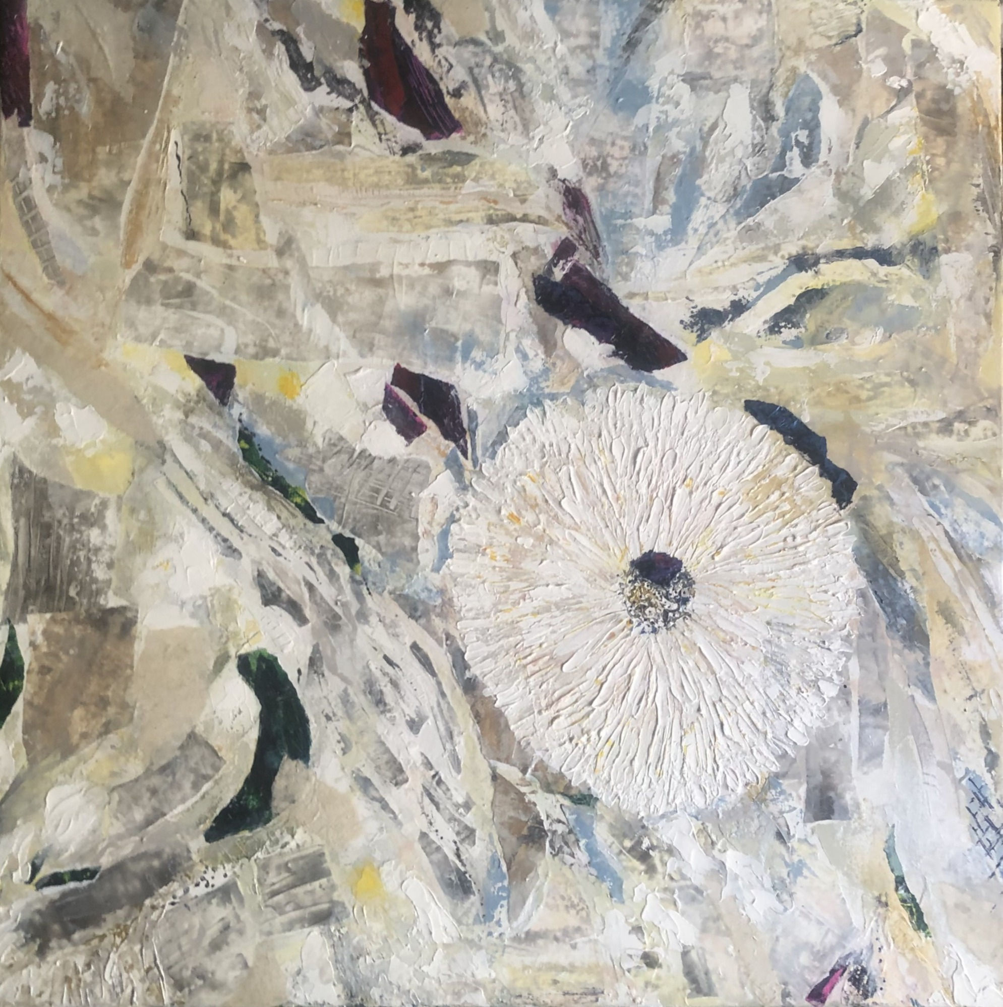 Meditation in Neutrals