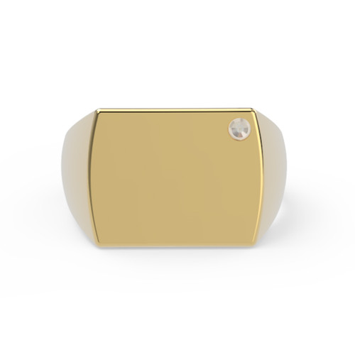 Alma Signet Ring | SHARONA MERLIN