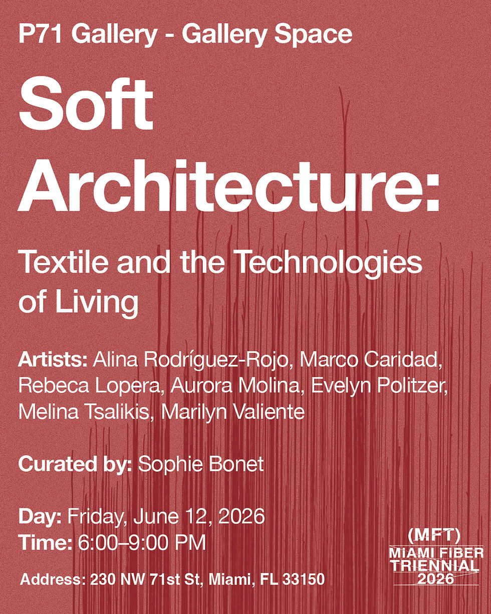 P71 - Soft Architecture.jpg