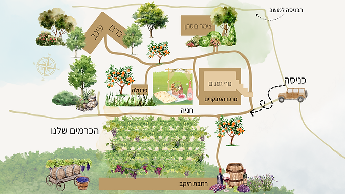 סוויטות כרם ועינב (2).png