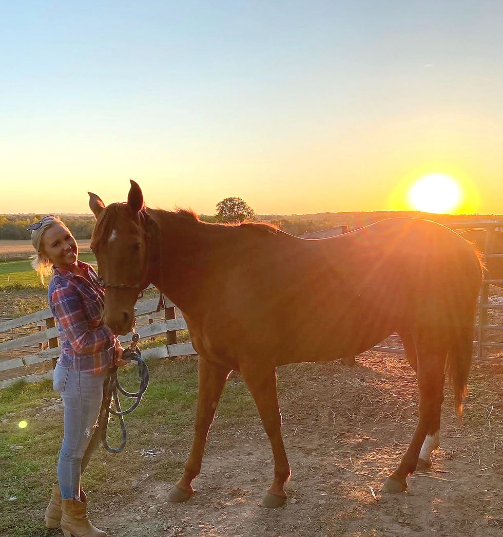 The Healing Power of Horses: Brooke's Legacy Through B.E.A.R. Ranch