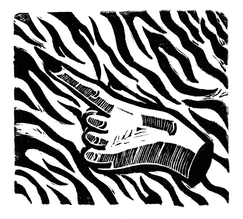 Take me to Zebra Land