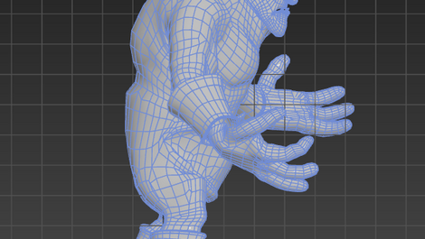 Left face view without texture (with edges)