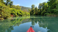 Canoë Kayak sur le Rhône au coeur de la lônes 1