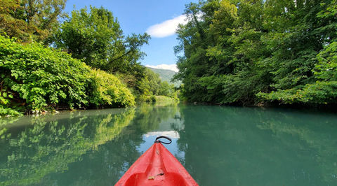Canoë kayak au coeur de la lône numéro 3