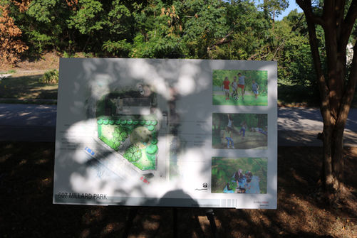 Grid Image (16).jpeg