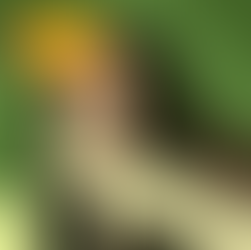 Empire of Dirt for Catching Fishies