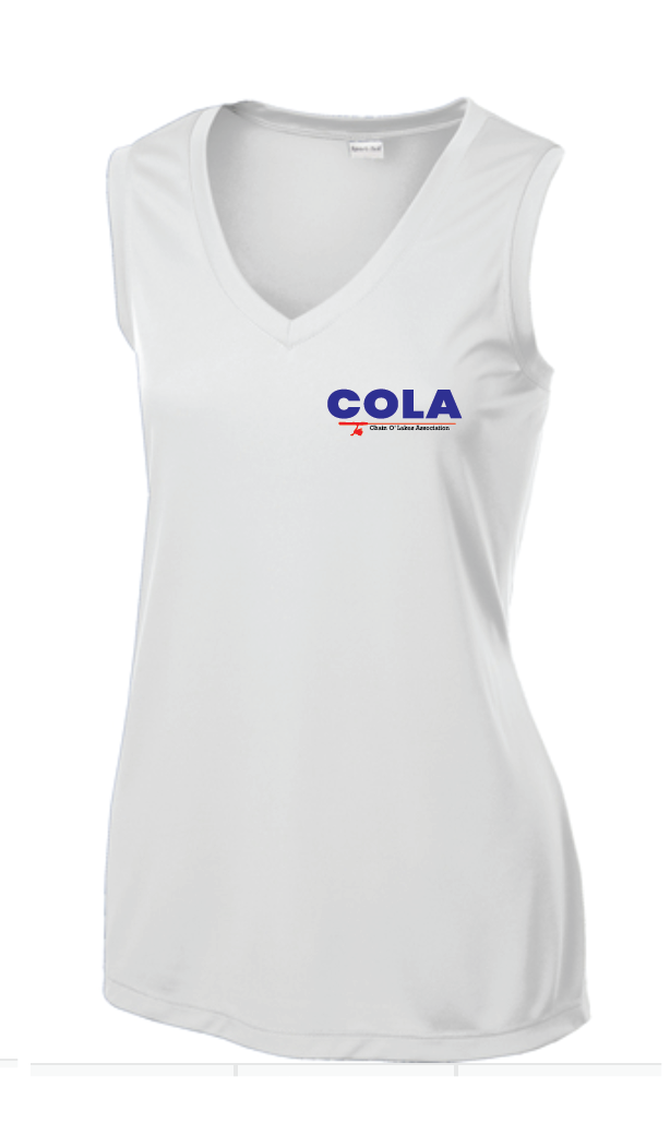 Thumbnail: Sport-Tek® Ladies Sleeveless PosiCharge® Competitor™ V-Neck Tee • LST352