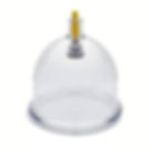 cup.jpeg