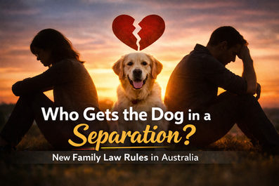 Who Gets the Pet in a Separation?